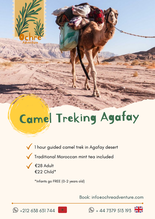 Camel Treking Agafay